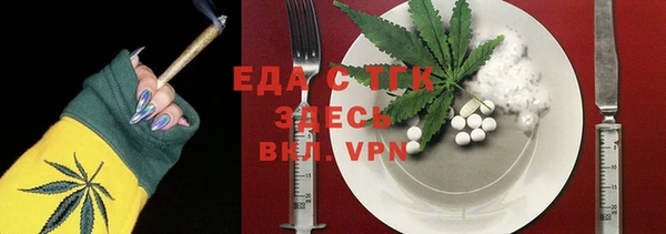 шишки Ельня