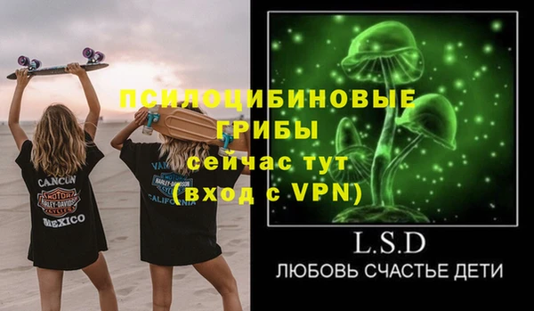дмт Елабуга