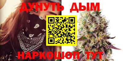 стаф Малгобек