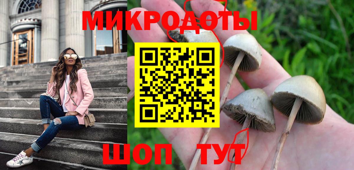 Камышлов  Галлюциногенные грибы GOLDEN TEACHER  Вход с VPN 