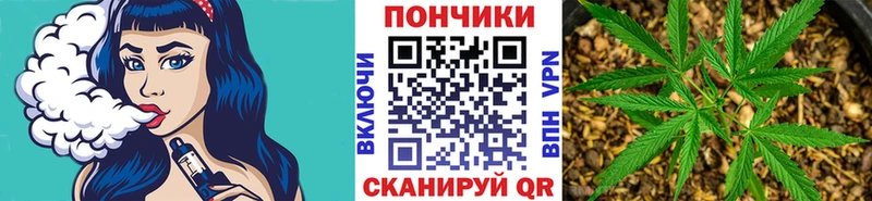mega ссылки  Камышлов  Шишки марихуана Bruce Banner 