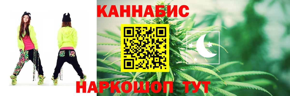 Каннабис планчик Камышлов